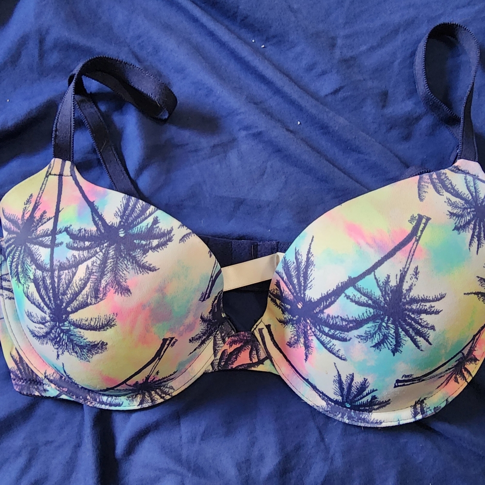 Victoria's Secret Navy and Pink Bra